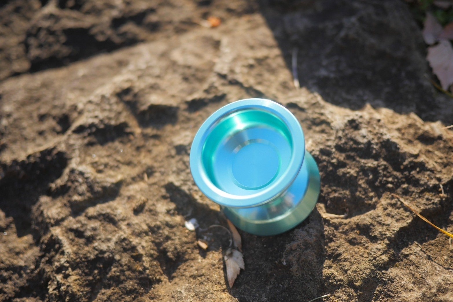 Amaryllis | ヨーヨーショップキズナ 15,000円以上送料無料