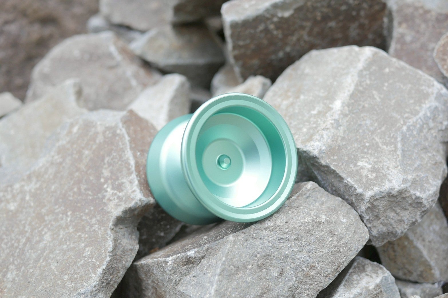 Amaryllis | ヨーヨーショップキズナ 15,000円以上送料無料