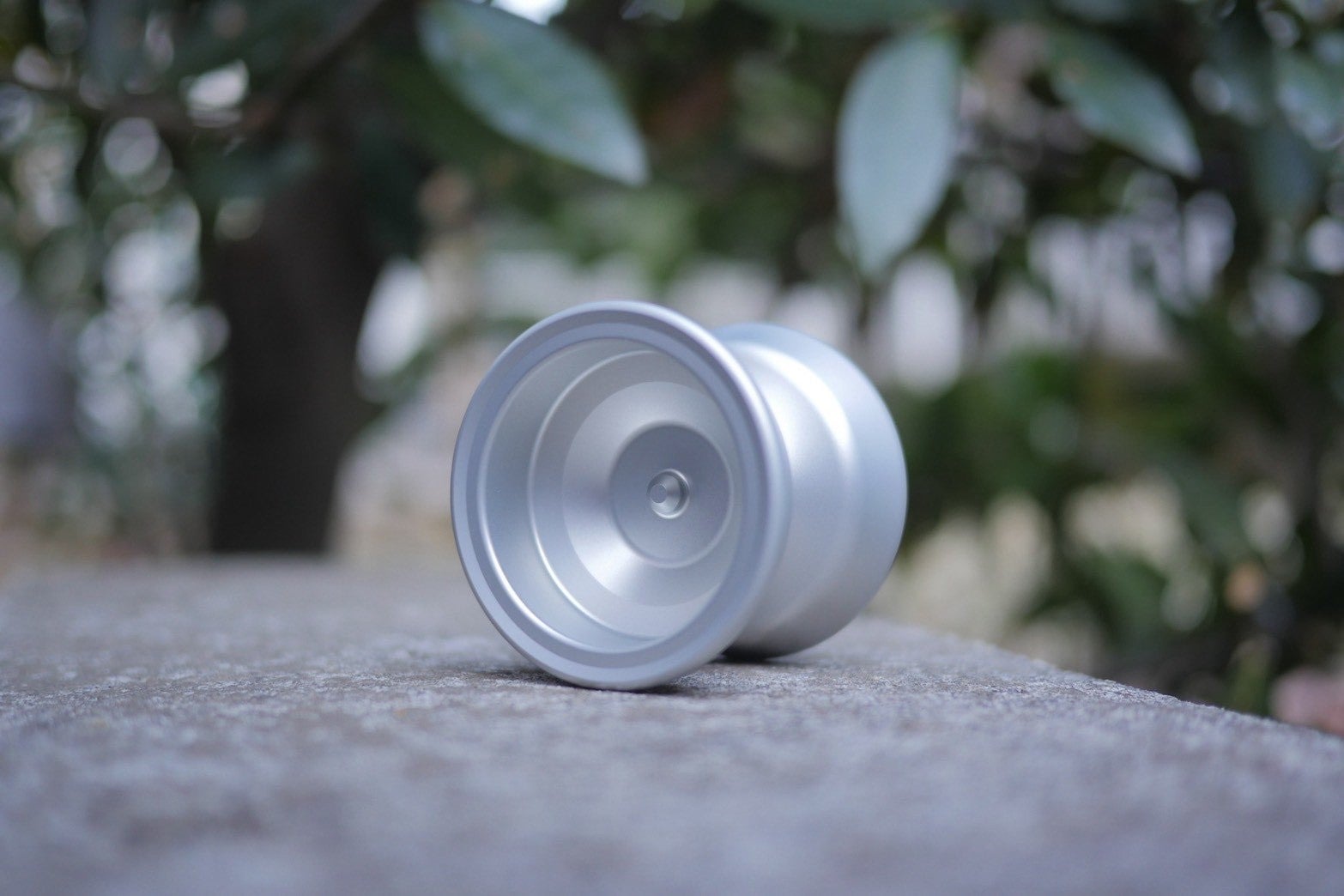 Amaryllis | ヨーヨーショップキズナ 15,000円以上送料無料